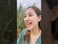 【沖縄】沖縄県産娘が歌う「さとうきび畑/ 森山良子」#歌うま
