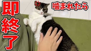 【深夜のおっさん】猫に噛まれたら即終了Part2