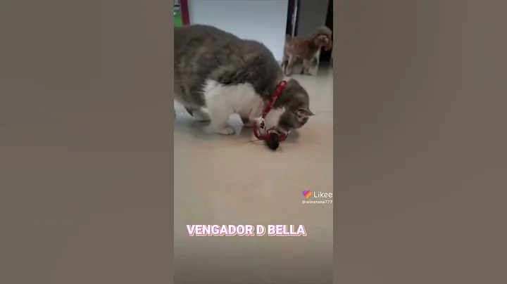 23 de abril de 2022