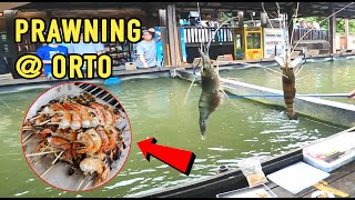 EXPERT LEVEL PRAWNING at Orto Yishun Singapore
