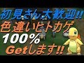 【ポケットモンスター】色違いヒトカゲ100%Getします!!【サン　ムーン】【Live】