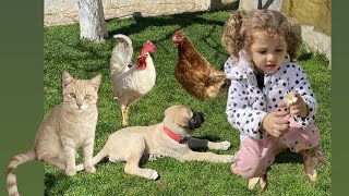 Tavuk, Horoz, Köpek Ve Kedi Ile Bir Gün Vlog 🐶🐔🐓🐱 #fatihselim #prenseslina