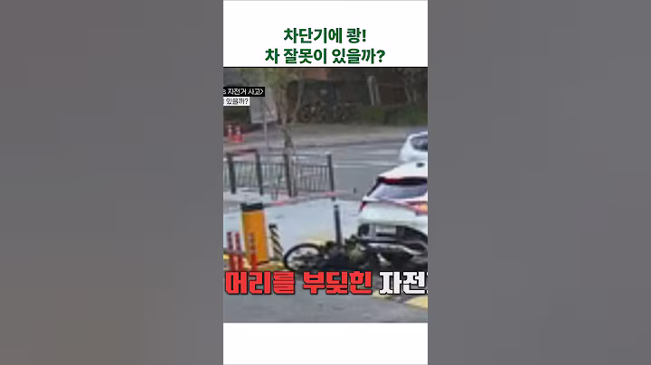 차단기에 쾅! 차 잘못이 있을까?#한문철 #예능 #한블리 #이수근 #조규현