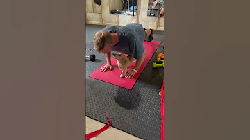 Trying To Do Push Ups But My Dog Is Needy Shorts 