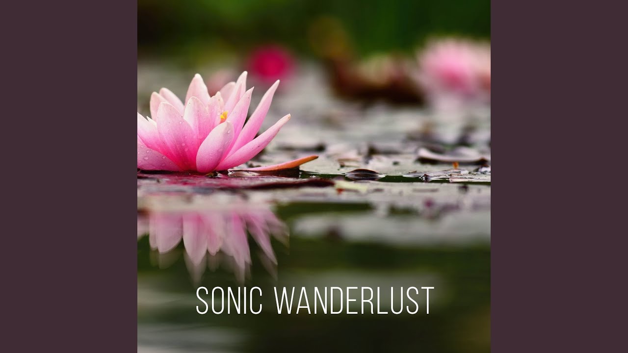 Poundfield Wood in Spring