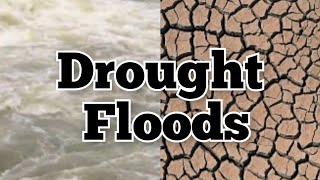 Drought and floods | Natural disasters | class 5