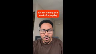 An owl waiting two weeks for payday