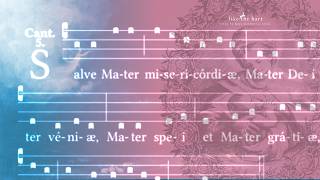 Peaceful Catholic Latin Hymn | Salve Mater Misericordiae screenshot 3