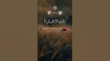 سورة الكهف- المال والبنون زينة الحياة الدنيا #اكسبلور #القزابري #quranchapter
