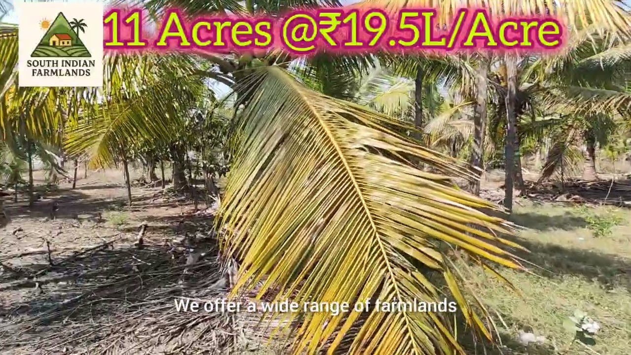 11 acres of farmland for sale near Pavagada, at ₹19.5/Acre, ping on 8152943766 for info