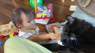 トトロのテレビを娘と一緒に観る猫　ラガマフィンA cat watching TV. Ragamuffin.