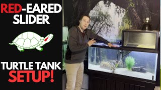 Adult RedEared Slider Setup  Pet Turtle Care is EASY!