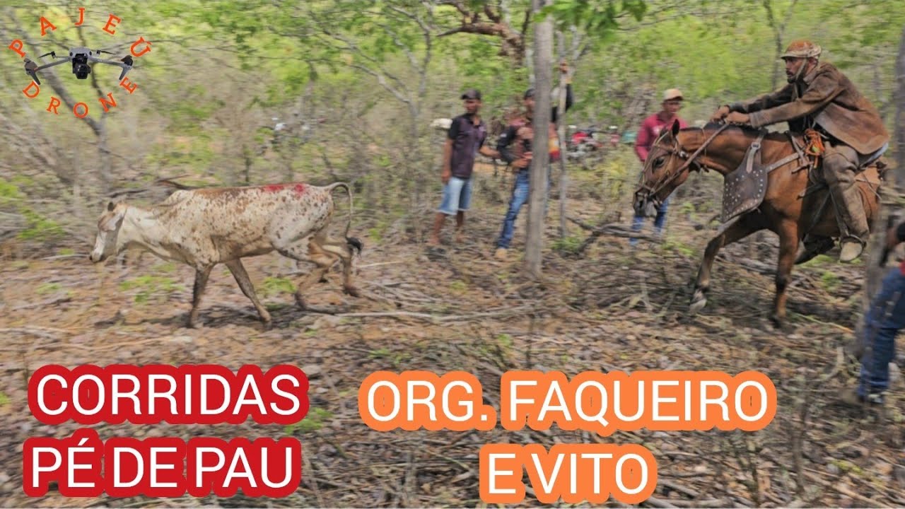 (DRONE) CORRIDAS PÉ DE PAU SÍTIO CACHUEIRA DE MARAVILHA CUSTÓDIA-PE ORG. FAQUEIRO E VITO 
