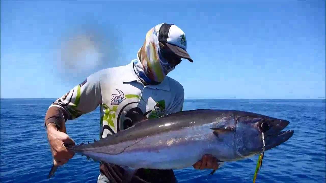 Jigging Dogtooth Tuna YouTube