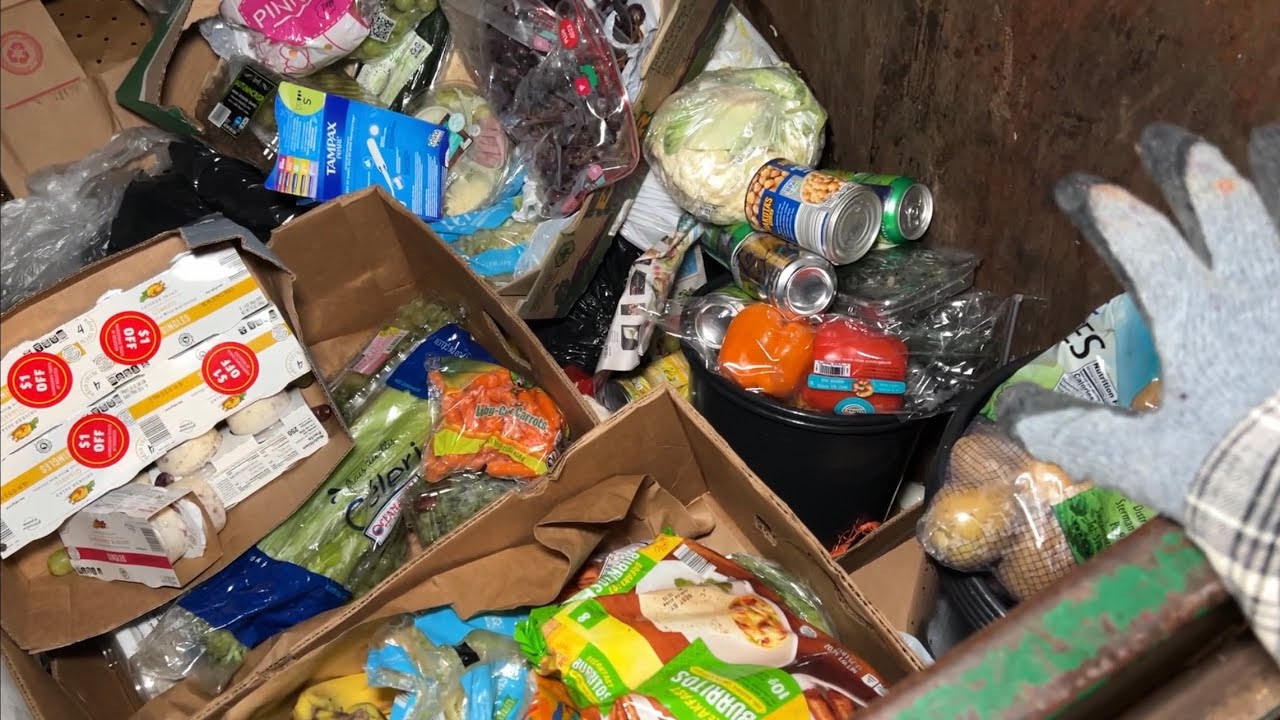 Dumpster Diving Aldi 179 Free Grocery Shopping!!! YouTube