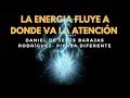 LA ENERGIA FLUYE A DONDE VA LA ATENCIÓN - HO´OPONOPONO - 7 PRINCIPIOS DE TRANSFOMACIÓN HUNA