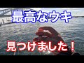 チヌが簡単に爆釣するウキと釣り場を紹介します【フカセ釣り】