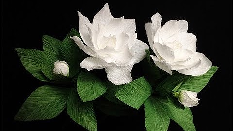 ABC TV | How To Make Gardenia Paper Flower From Crepe Paper - Craft Tutorial
