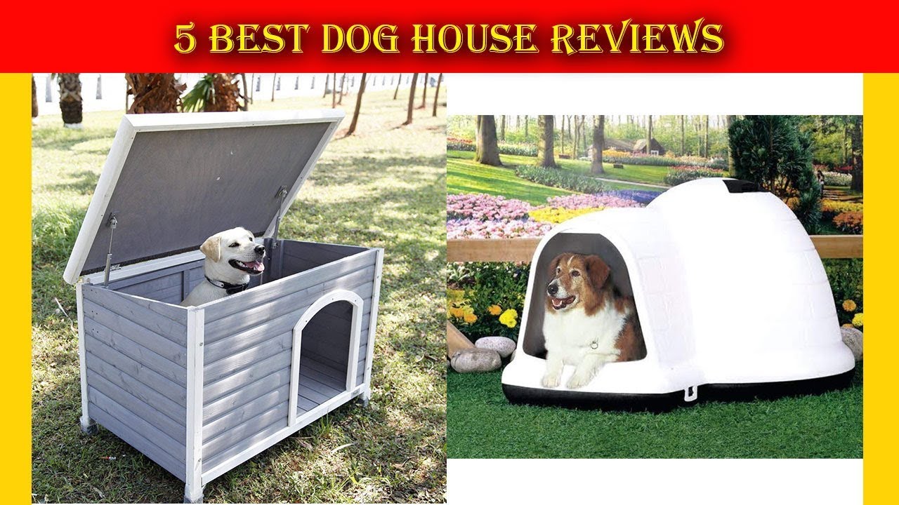 5 Best Dog House in 2019