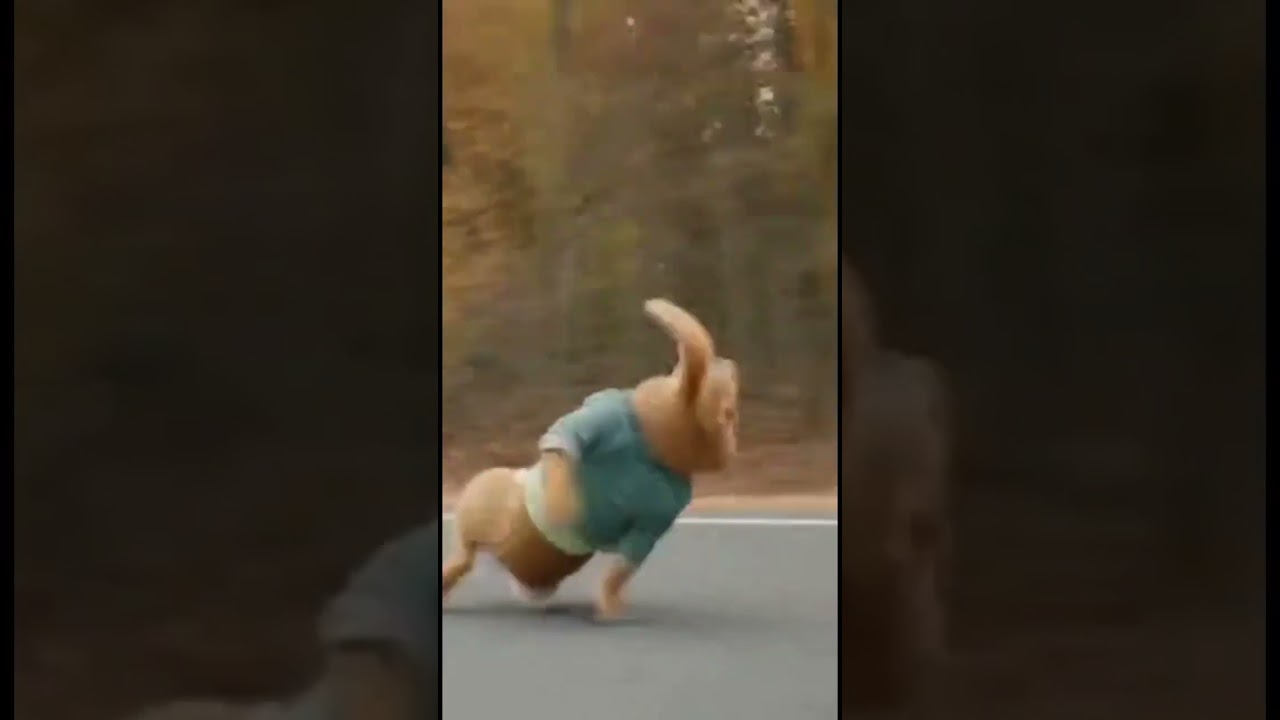 The naughty rabbit needs to learn to follow the rules. 