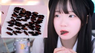여자 우마를 노리는 유튜버 (ft. 김계란)