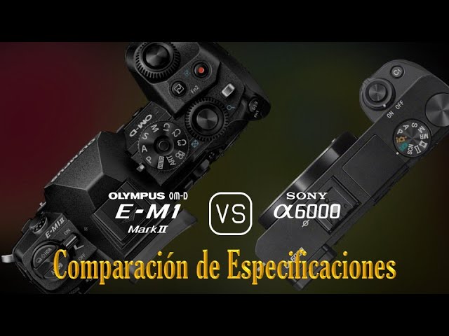 OM System OM-1 vs Olympus E-M1 III: what's the difference? - Amateur  Photographer