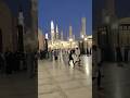 Mashallah 🤲🕋#viral #trendingvideo #trendingshorts #shortvideo #viralvideo #madina # masjidnabavi