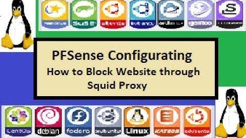 How to Block WebSite Using Squid with Pfsense