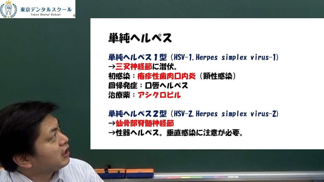 ヘルペスウイルス　EBウイルス３分で分かる微生物学