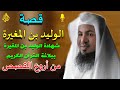 قصة الوليد بن المغيرة اغنى اغنياء قريش الشيخ محمد علي الشنقيطي