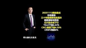 Sell the News-三十年期拍卖遇冷-芯片股全线下挫-20251113美股盘后总结 #纳斯达克 #芯片股 #人工智能 #美股 #美股投资 #特斯拉 #英伟达 #亚马逊