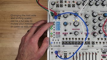 Getting to the Root of Scales