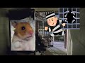 ハムスター脱走の決定的瞬間 #shorts