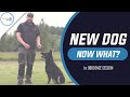 NEW DOG NOW WHAT? 1st Obedience Session