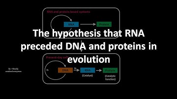 RNA preceded DNA and proteins in evolution a hypothesis