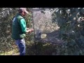 Reintroducción de perdiz roja en fincas de custodia del territorio del Oeste Ibérico