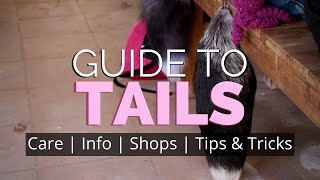 ALL To Know About TAILS [Where to buy, Care Guide, Tips & Tricks]