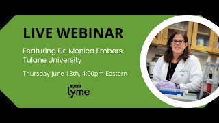 Lyme Persistence and Use of Combination Therapies