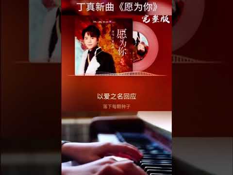 丁真珍珠全普通話演繹新歌《願為你》完整版 2023.06.29