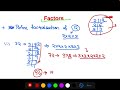 HCF LCM | Easy tricks to Solve HCM LCM | Imp for SSC Police Patwari Exam | Bright Institute Mohali