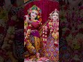 Krishna Krishna #krishna