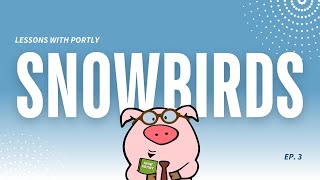 Flexible Phone Solutions To Give Your Snowbirding A Softer Landing