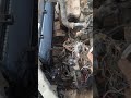 تصليح ظفيرة سيارة  3