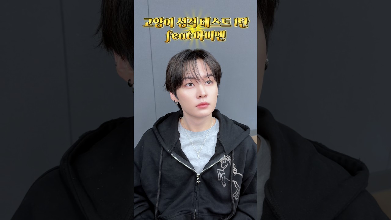 우리집 고양이 착한 이유: 이런 영상 같이 찍어 줌 #StrayKids #스트레이키즈 #리노 #LeeKnow #YouMakeStrayKidsStay