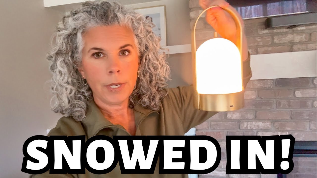 A Peek Inside My Life — Snowed In During Snowstorm Fern ❄️