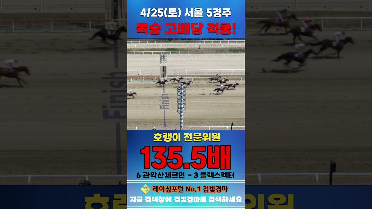 [서울 경마] 4월 25일 토요 5경주 호랭이 전문위원 복승 고배당 적중 #경마 #automobile #한국마사회 #horse #하이라이트 #https #게임 #비트코인 #뉴스