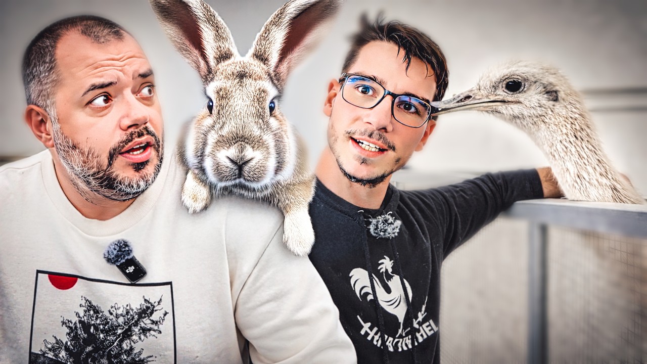 România care NU apare la știri: FERMIER la 28 de ani, un exemplu pentru TOȚI!🇷🇴