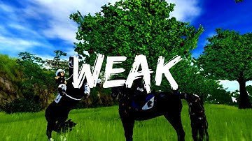 WEAK || Star Stable Music Video