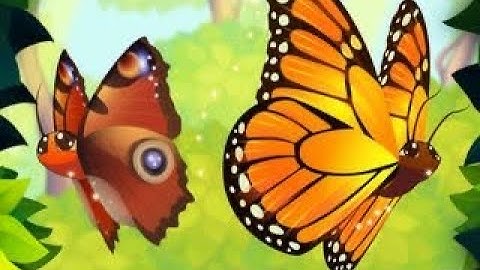 Flutter: Butterfly Sanctuary | #2