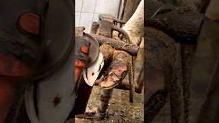 Cleaning A Cow's Hoof #Cows #Farm #Hooftrimming #Cowlife